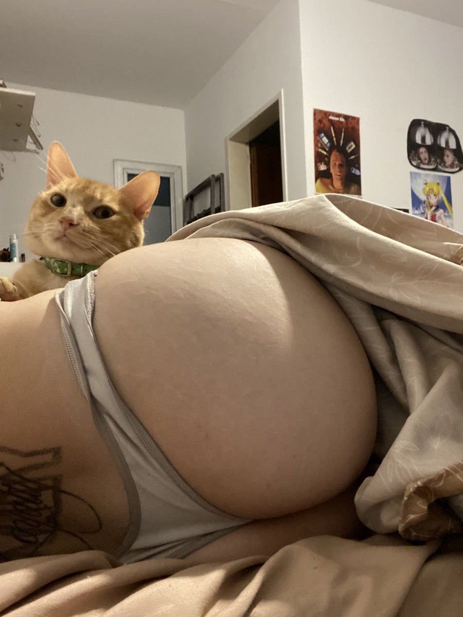 sweetvelorid's tweet photo. My tiny supervisor is checking the situation https://t.co/yg2JVpnSVH