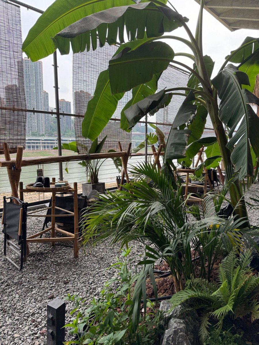 soehaelli2's tweet photo. A clear, vivid photo captured today on the terrace of a stylish waterfront café. https://t.co/7W2qV5hrmb