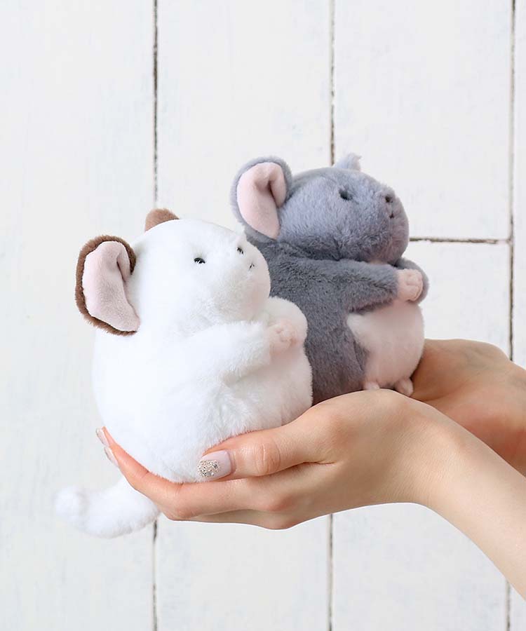 BleuBleuet_inc's tweet photo. ぽってりころんと丸いフォルムのブルーブルーエのチンチラ🐭🤍

チンチラぽちゃぬいぐるみ
➡https://t.co/UPORQV47R7
#ブルーブルーエ #bleubleuet https://t.co/QDoe9kGNWh