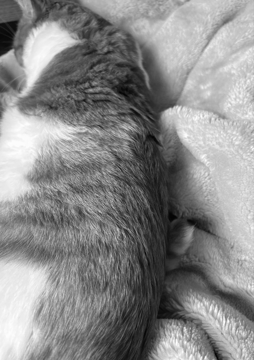 Nin_Neko2's tweet photo. 親知らず痛くなってから、歯抜いて抜糸まで2週間。痛み、テンション下がる事もあってトレしなかった。頑張れば出来たけど頑張りたくなかった。今日はトレできたのが嬉しかった。また自分のペースで仕事、トレしよ。 https://t.co/bIoZHghuiN