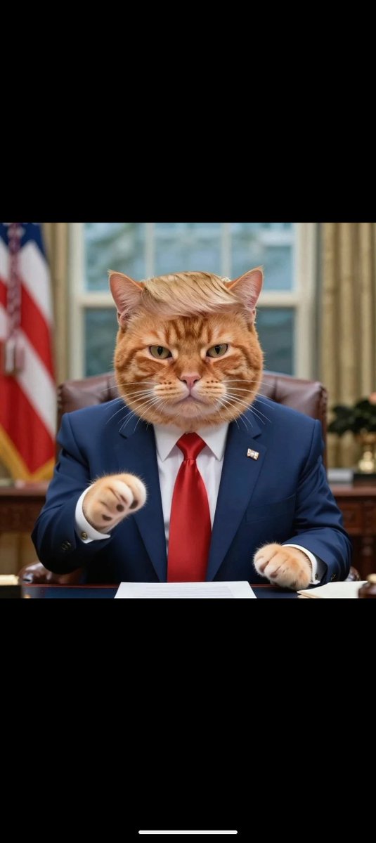 DavidHi20513834's tweet photo. $Tariffcat Rewards it's holders in 3X Leveraged BTC, lock in because BTC about to fly AND it's cat season.
CA: 6KUDKFNhHiKAkfKrpxVxiYcWiMY7CABbyCkENdhiBUQb https://t.co/Ovg1CMul23