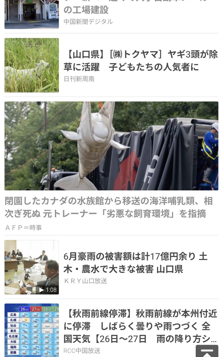 marin_s's tweet photo. やまぐちぇの記事に挟まるカナダの水族館の記事、記事中のマリンランド(カナダ)をヤホーがマリンランド(下関)と判断している可能性 https://t.co/H5FnnwYKa6