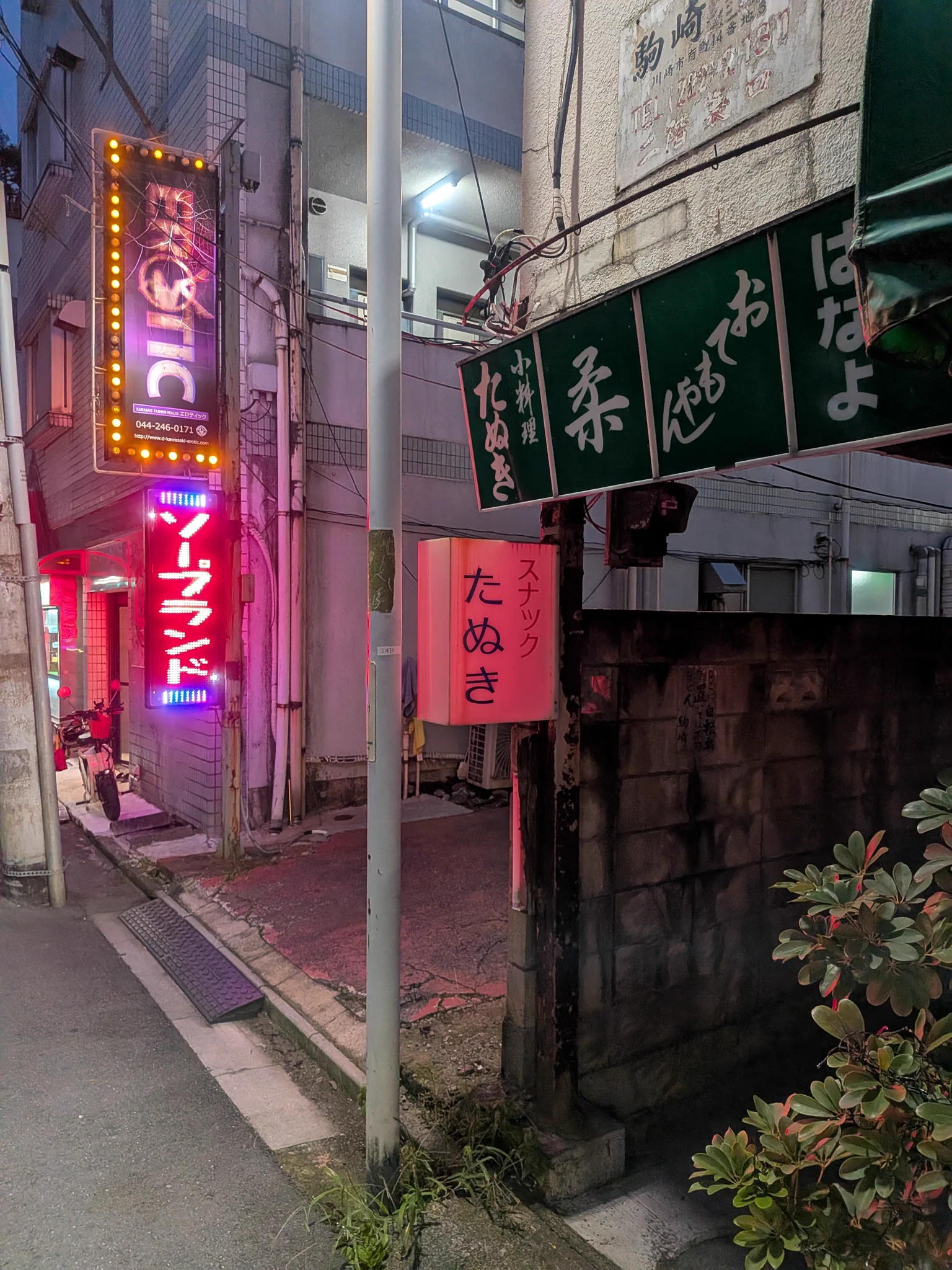 たぬき on X: 