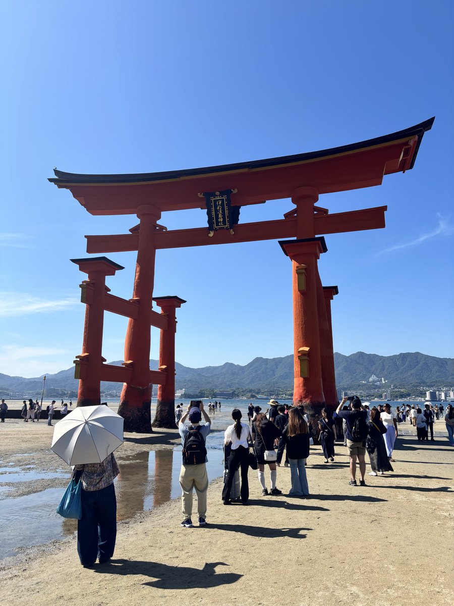 q3fknu's tweet photo. 旅行に行ってきたぜい https://t.co/mustVDqCUs
