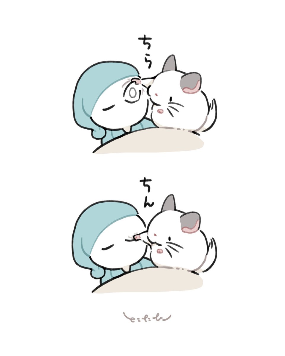 icanfllllly's tweet photo. 瞼の裏を確認するチンチラちゃん https://t.co/Z5jiYEwBr3