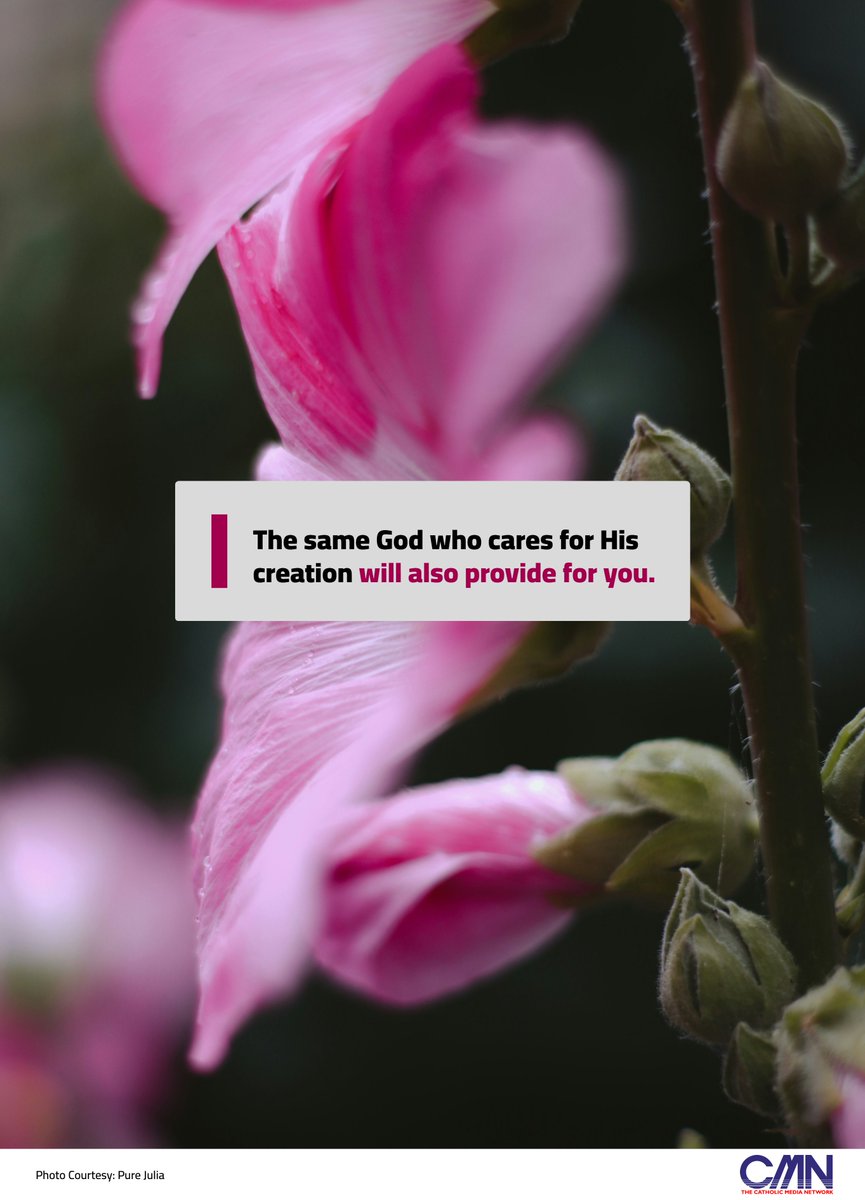 CMNCatholic's tweet photo. A little #reminder for you,
The same God who cares for His creation will also #provide for you.
#BlessedWednesday https://t.co/gE0ctqpGo9