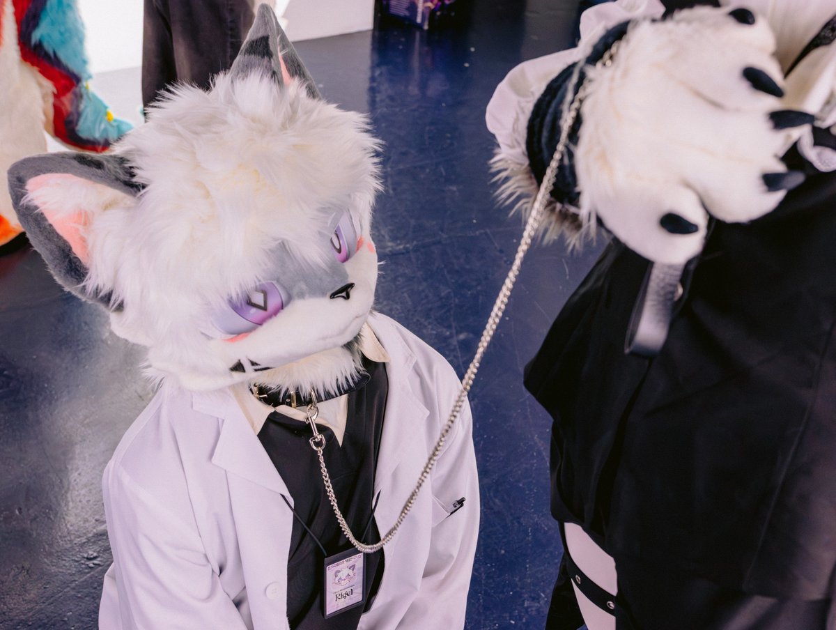 Rigel_Fur's tweet photo. 나는 너의 펫이 아닌데..
#TheRigel
#fursuiteveryday
📷 @ zumk_work https://t.co/cgua52FNvu