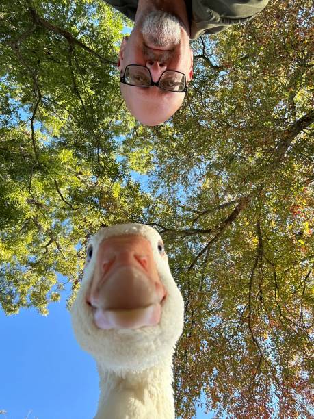 KristynLitho4c's tweet photo. 祖谷渓では真夏に猿の鳴く姿がよく見られる。 https://t.co/OJTdSw7sow