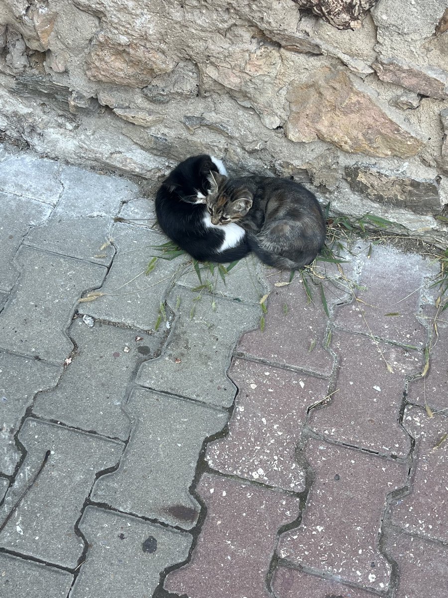 boydakhulya34's tweet photo. Neler oluyor çok güzeller sıcak bir kare ♥️❤️😍 https://t.co/4GO2nP7SAE