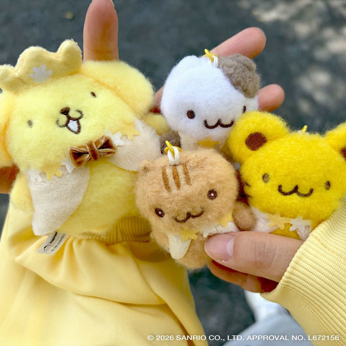 yumeyagotochiho's tweet photo. 《新商品情報》

9月発売予定

ポムポムプリン ぬいぐるみキーホルダー
（税込500円）

チームプリンがラインナップに仲間入り🎶

ふわふわの手触りと、手のひらにちょこんとのるサイズ感がとってもキュート♡

いつでも一緒に連れて歩きたくなるかわいさです✨
お気に入りの子を見つけてね♪

#ポムポムプリン #サンリオキャラクターズ #カプセルトイ #ぬいぐるみキーホルダー