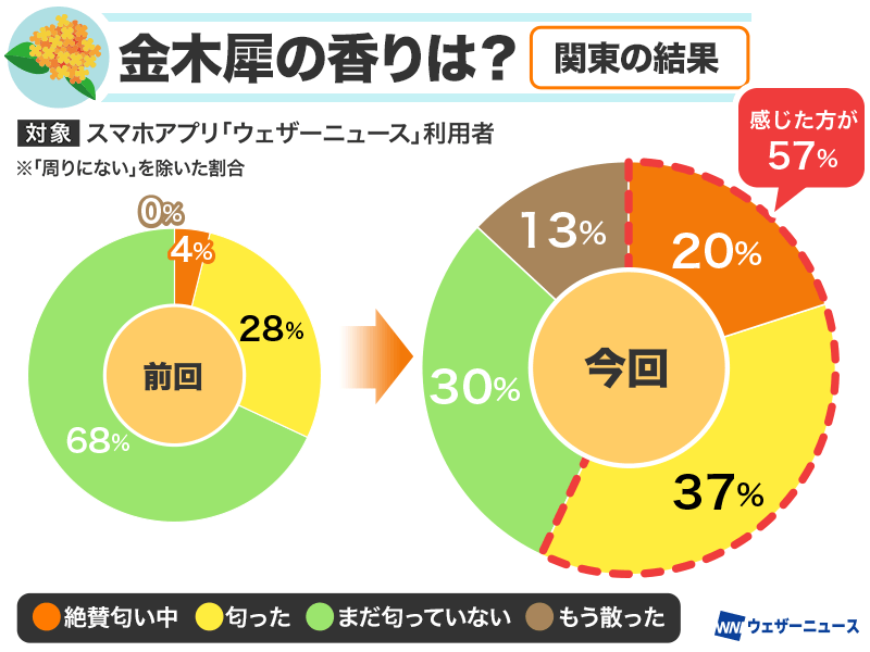 wni_jp's tweet photo. ＜キンモクセイ 関東甲信や東北で開花ピーク＞
東日本や東北を中心に、金木犀の報告が多く寄せられています。ウェザーニュースで調査したところ、昨年より3週間も早いペースということがわかりました。今後は朝晩の気温低下とともに、東海や西日本でも開花が進む見込みです。
https://t.co/4n0jDu427k https://t.co/t0cjSPbnTx