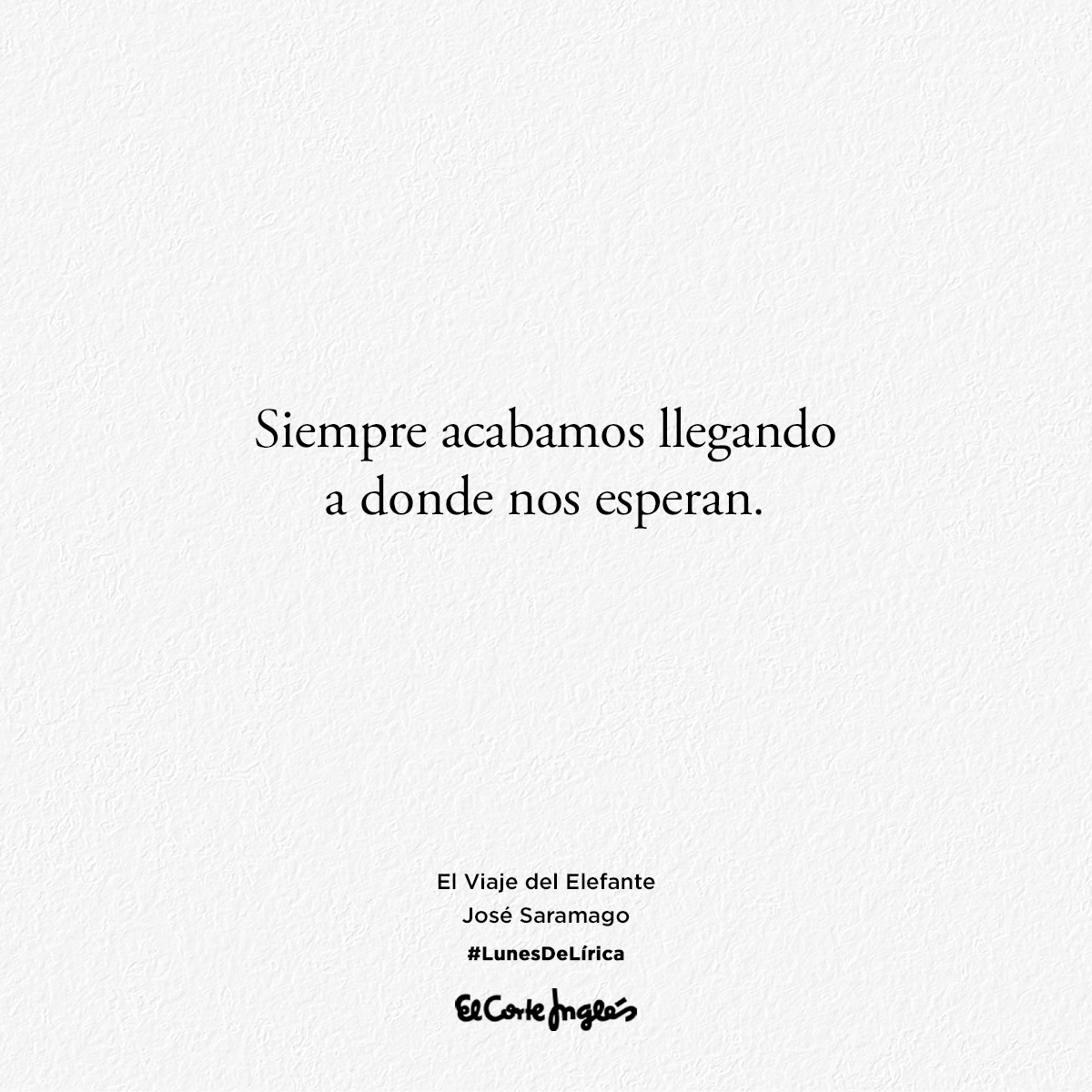 elcorteingles's tweet photo. La primera página de 'El viaje del Elefante' de José Saramago. 💘 #LunesDeLírica  https://t.co/II8o0ZsNAH https://t.co/5ZG1CF15N0