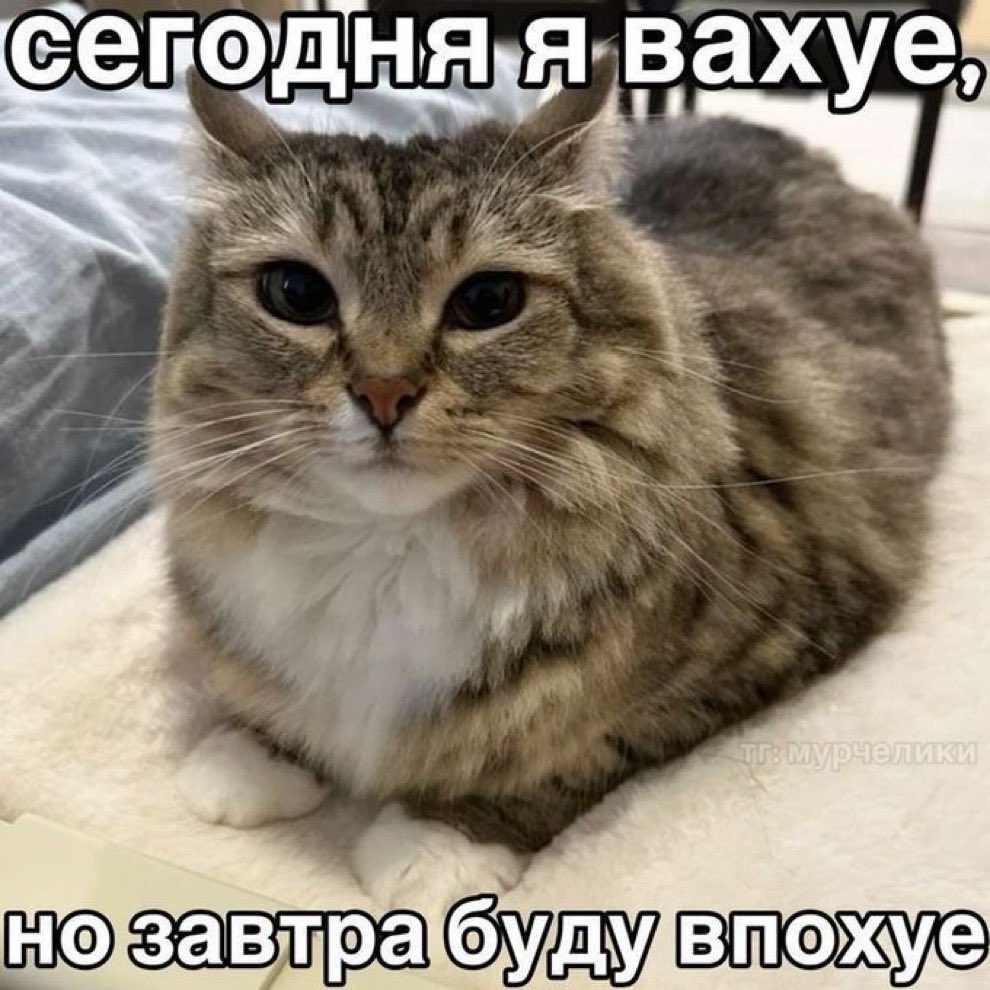 mbmeyv7's tweet photo. сегодня пятница а завтра https://t.co/7sECXxxJ0l