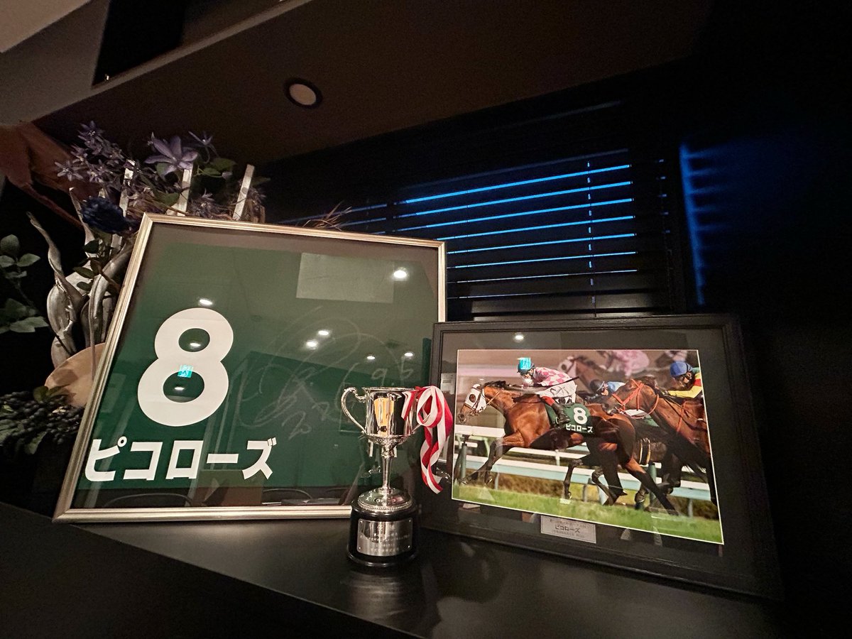 Pikoracing's tweet photo. ／
🎉 #ピコローズ 京成杯AH（GⅢ）
🏆優勝記念プレゼント企画🎁✨
＼

ピコローズの重賞優勝に際し、
たくさんのお祝いコメントをいただき、本当にありがとうございました🙇‍♀️
全てのコメントにお返しすることが出来ず申し訳ありませんでしたが、
皆さまからいただいた温かいコメントは、一つひとつ大切に読ませていただきました🥺💓

日頃からピコローズを応援してくださっている皆さまへ、
感謝の気持ちを込めて、プレゼント企画を実施いたします‼︎

🎁三浦皇成騎手サイン入り
　ピコレーシング オリジナルグッズ【10名様】

🎁オリジナルQUOカード【20名様】

✨合計30名様にプレゼント✨

【応募方法】
① @Pikoracing をフォロー
② ご希望の商品を記載して引用リポスト
▼商品はこちら
・Tシャツ 8番（S / M）
・トレーナー 8番（S / L）
・マフラータオル8番
・QUOカード
※「どれでもOK！」という方は、ご指定なしでもご応募いただけます👌🏻

📅応募締切：9月30日（水）まで

🎯当選発表
10月1日（木）以降、当選された方へ順次DMにてご連絡いたします💌
※DMを受け取れるよう、設定のご確認をお願いいたします

次走は遂にG1の舞台に挑戦出来るなんて、本当に夢のようなありがたい経験です😭😭😭
マイルCSに出走予定の皇成騎手とピコローズへの応援メッセージもぜひお寄せください🐧🌹
たくさんのご応募お待ちしております🥰