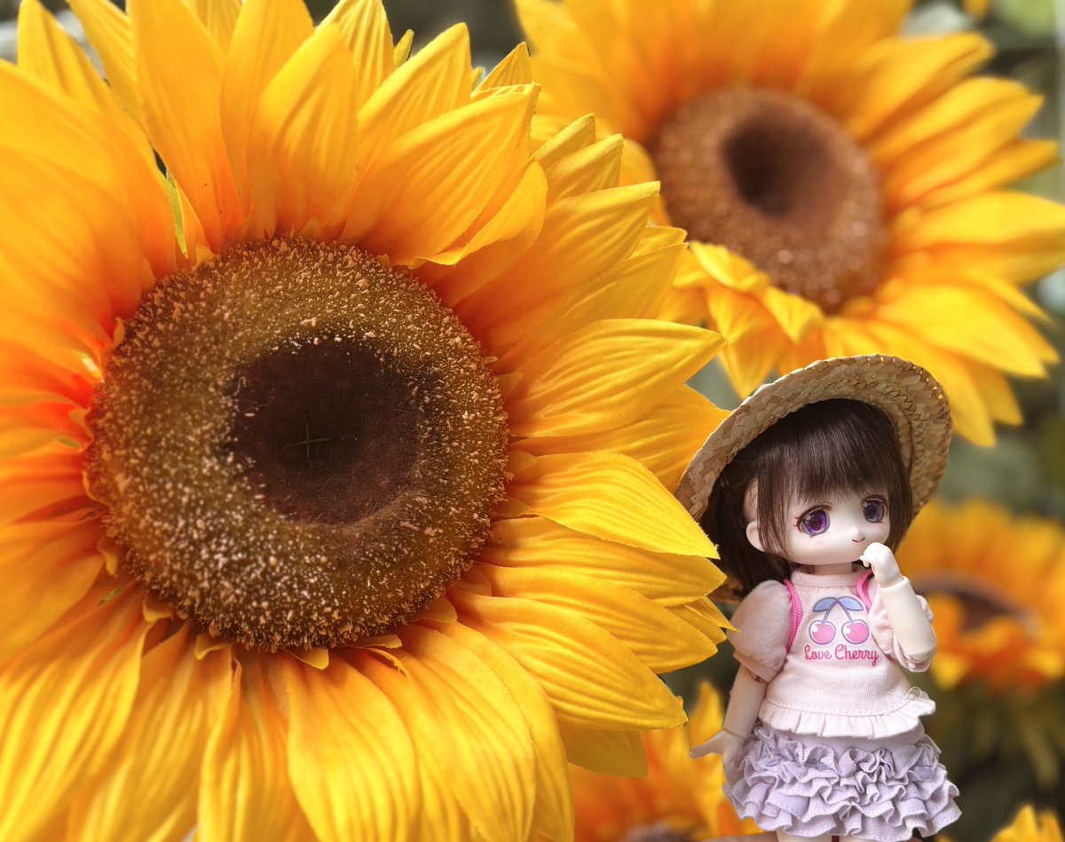 0430ui's tweet photo. #2026ドル沼フォトコン https://t.co/hiPURZfsFG