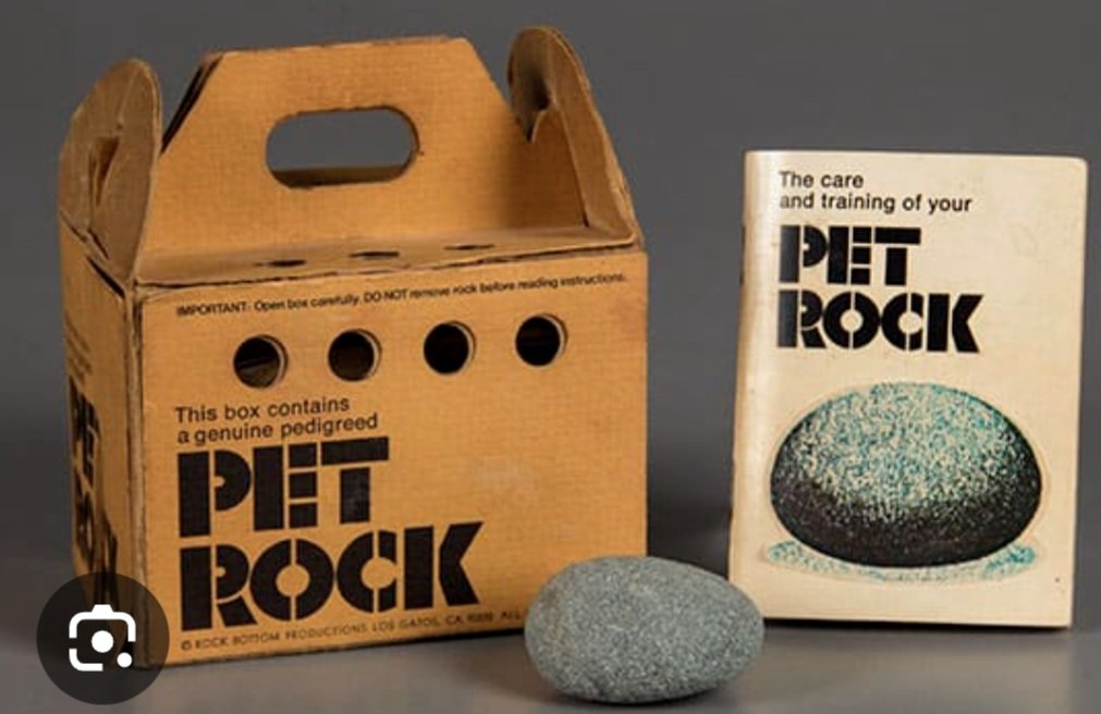 GHOSTOF4FATHERS's tweet photo. @bobby_rieg59294 PET ROCK https://t.co/QigwKx5eX6
