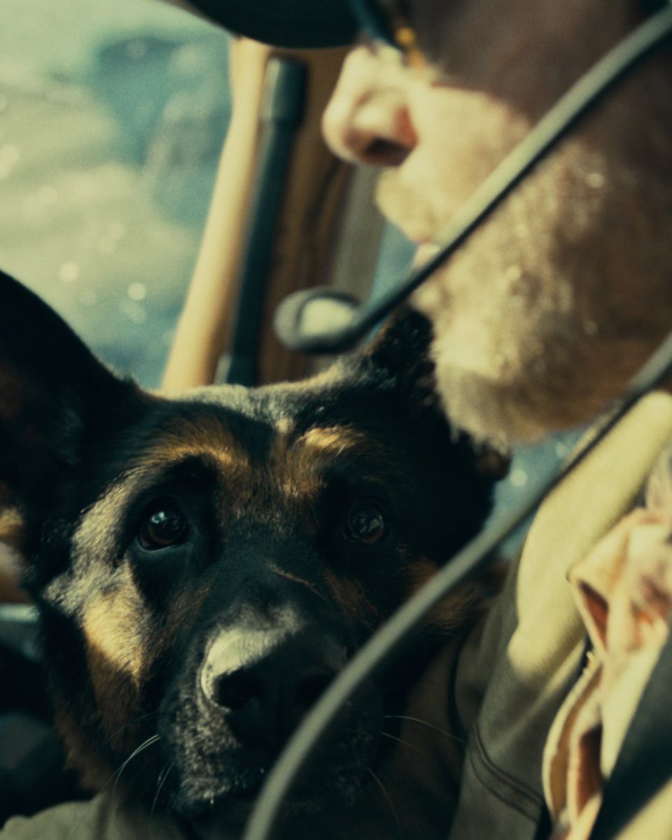lil_mystrian's tweet photo. Wept like a baby towards the end when James told Odin that he is the Greatest joy of his life.The montages of the happy moments playing while reading the letter was such an emotional turmoil Heart of the Beast is a great survivor film with intense pain unfolding one after another https://t.co/3qQH6DE6Jo
