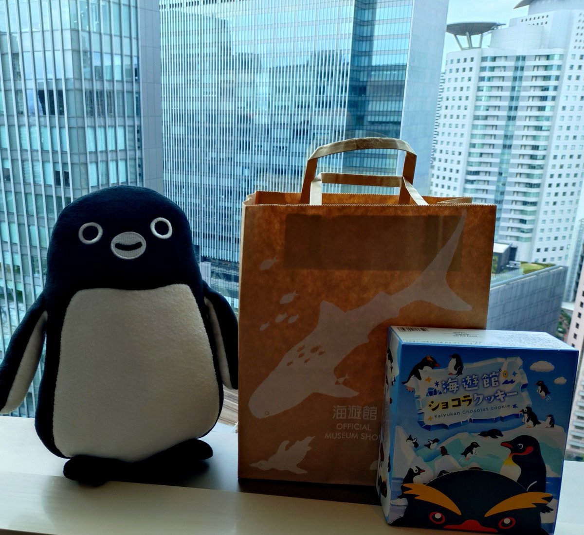 KaRui80's tweet photo. 海遊館へ数年ぶりに行ってきた。
混雑凄い。
どこで見てもペンギンは可愛い。 https://t.co/5htSrIeKdI