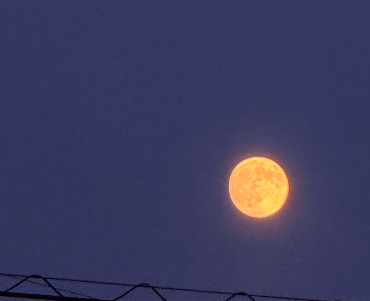 star_flower_88's tweet photo. 今夜は中秋の名月🌕十五夜🎑🐰ᩚ
素敵なお月見を𓂃𓈒𓂂
去年より月が綺麗に撮れたぁ🫶🏻︎
#iPhone16promax https://t.co/s1bn1Rqs3c