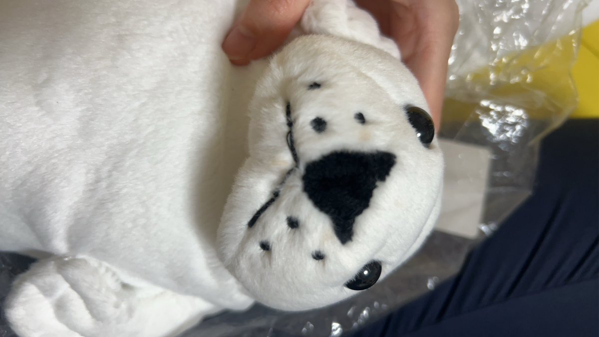 waccha_309's tweet photo. 今日届いた子お顔に茶色い汚れがついていた…！拭いたけどちょびっと汚れが残っちゃった~🥺
(そしてあざらしが3匹増えた) https://t.co/MkvPB07eJV