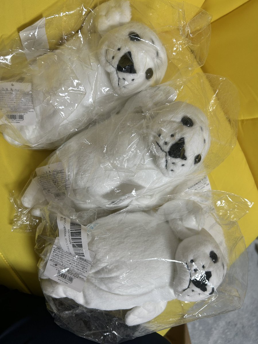 waccha_309's tweet photo. 今日届いた子お顔に茶色い汚れがついていた…！拭いたけどちょびっと汚れが残っちゃった~🥺
(そしてあざらしが3匹増えた) https://t.co/MkvPB07eJV