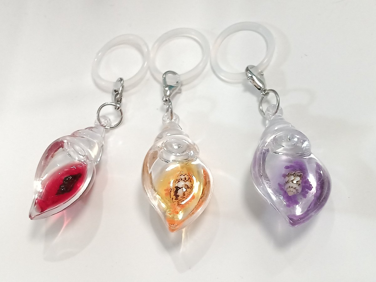 OUKA_HURAMU's tweet photo. 帰りにキレイな巻き貝🐚のガチャに出会えたヽ(=´▽`=)ﾉ https://t.co/6aVZjrEjHb
