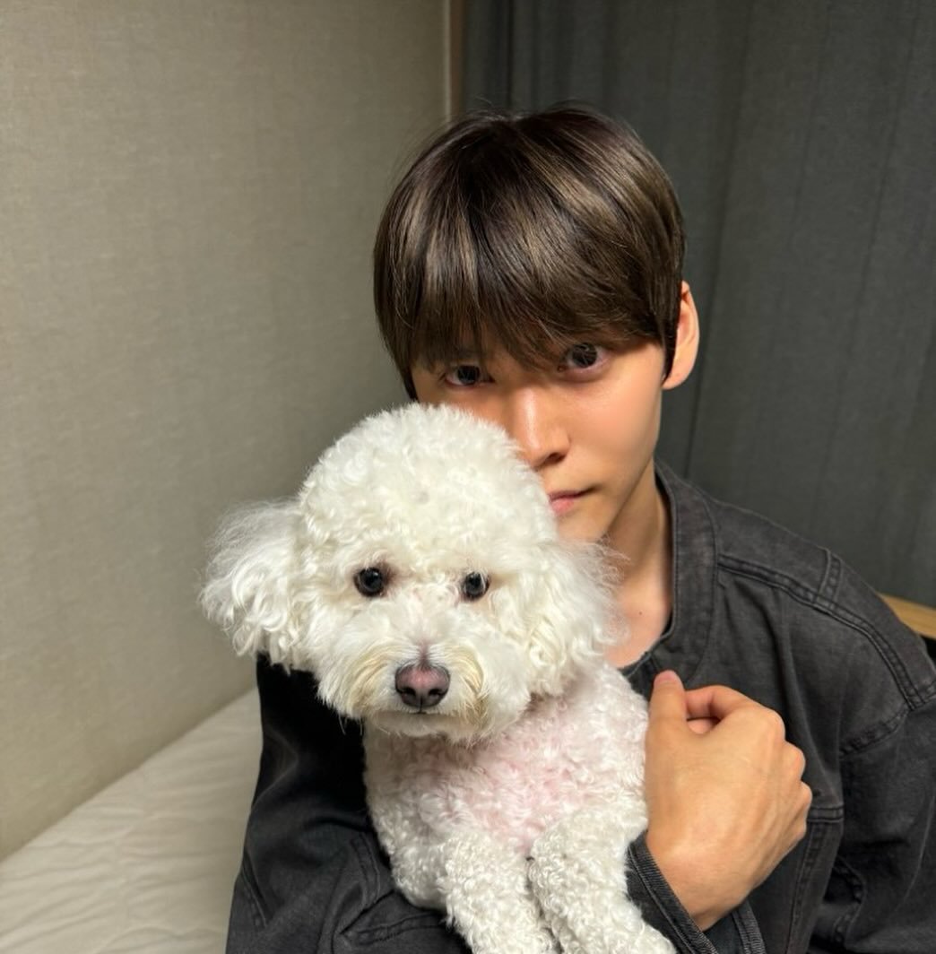 ndolbbin0319's tweet photo. 올해 이 투샷 못보나아 ㅠ ㅠ https://t.co/o58QX61pmF