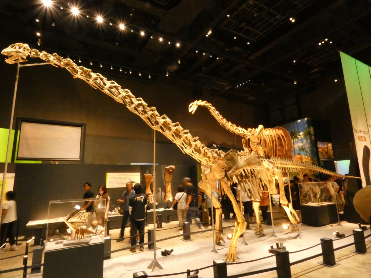 shinn_fasuru's tweet photo. #金曜日だから化石貼る
シルバーウィークの福井恐竜博物館 竜脚類展から🦕 https://t.co/xGpLriSUWk