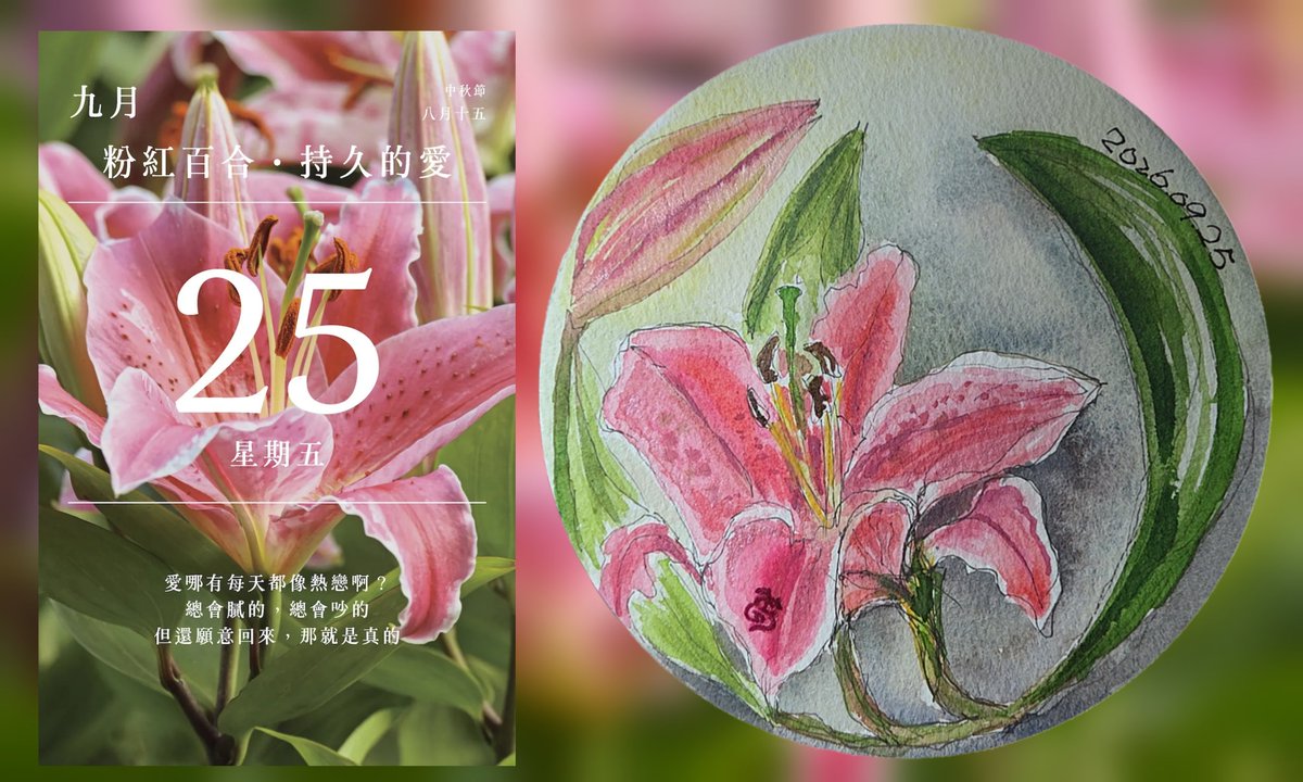 adder915a's tweet photo. 今日花語曆
2026年09月25日
【粉紅百合】（Pink Lily）以溫柔嬌艷的姿態與濃郁香氣著稱，常見於東方百合（Oriental Lilies）與 OT 雜交百合系列中，是花藝設計與節慶送禮極受歡迎的選擇。
💐花語是「溫柔浪漫的愛與美好的祝福」。
#2026年花語日曆 #花語日曆 #每天畫一朵花 
https://t.co/hZ6DDadEHf https://t.co/NJzMH6JbHd
