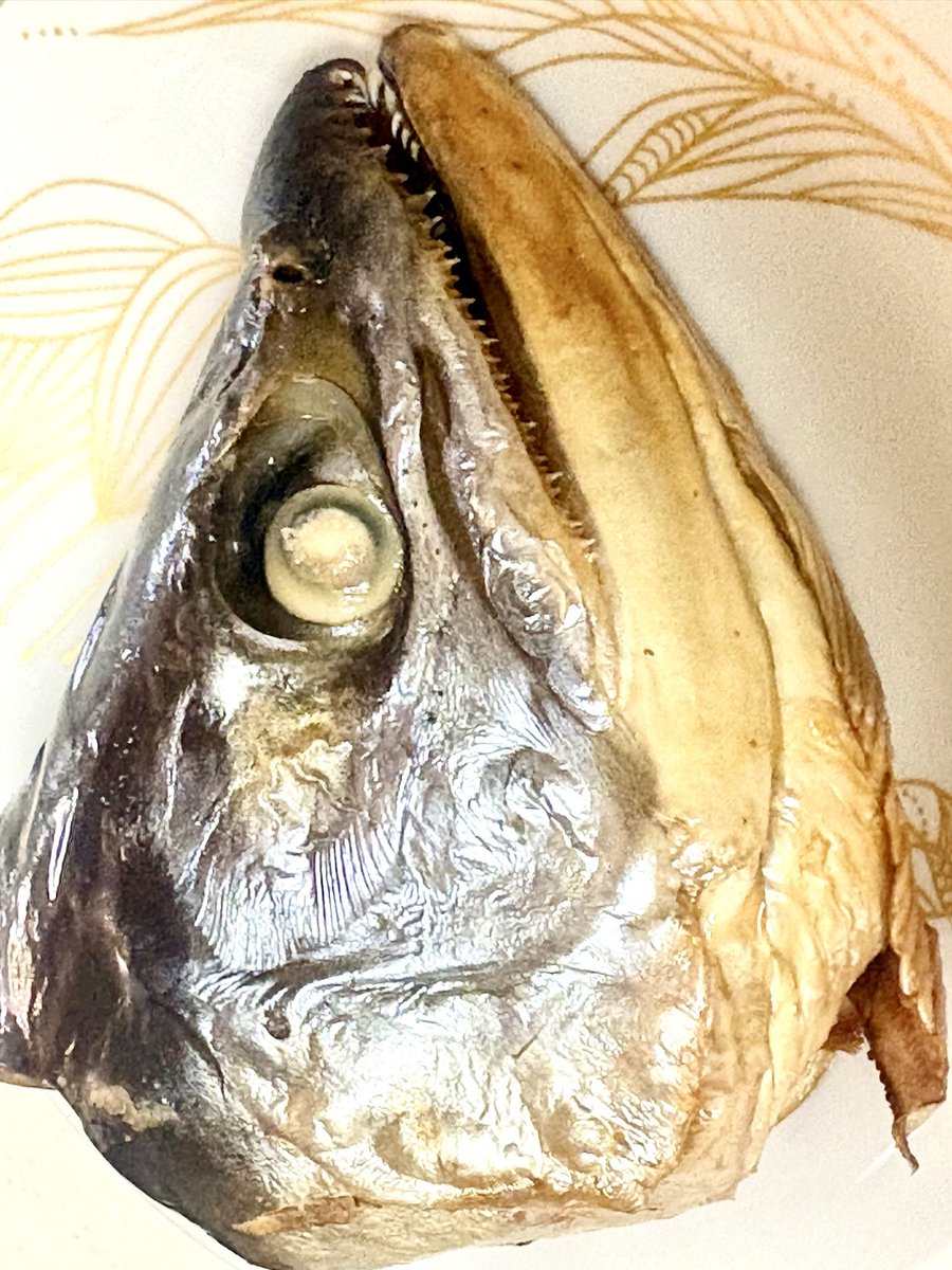 mdzk's tweet photo. 本日、ワタクシみづき桃香の生誕祭でございます！！！
気づけばBaroque歴20年になり申した。
ありがたい！！

皆様と一緒にお祝いできると嬉しいです✨ https://t.co/Z3HLDtsVqV
