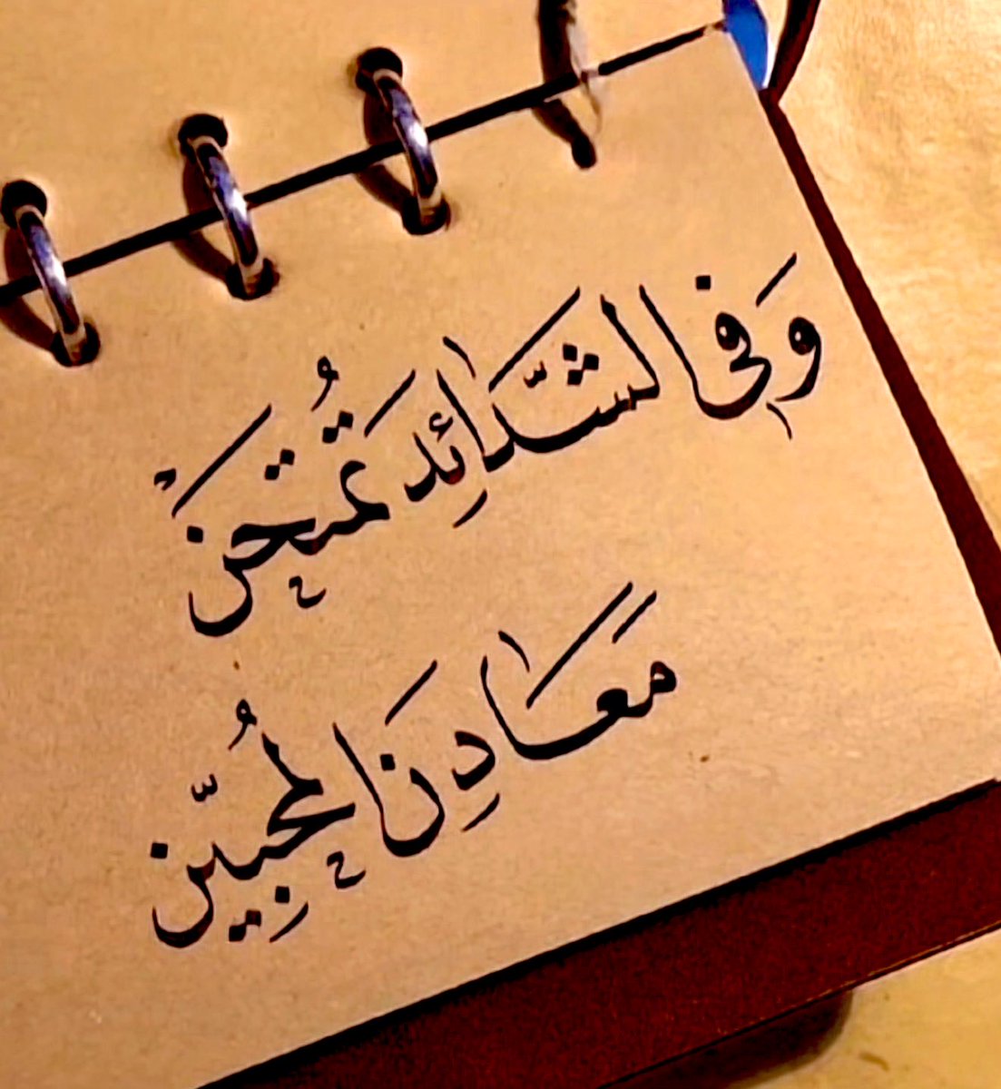 9lbbb's tweet photo. راقت لي🪴... https://t.co/82Ze4U04TO