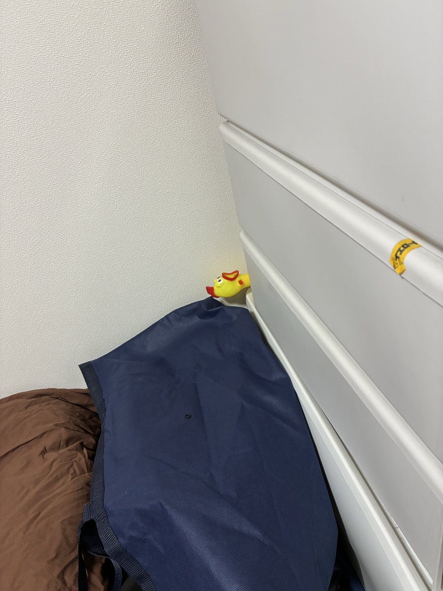 nozakix's tweet photo. 自分で置いてたのにめちゃくちゃビビってしまった https://t.co/6A19xoCFpv