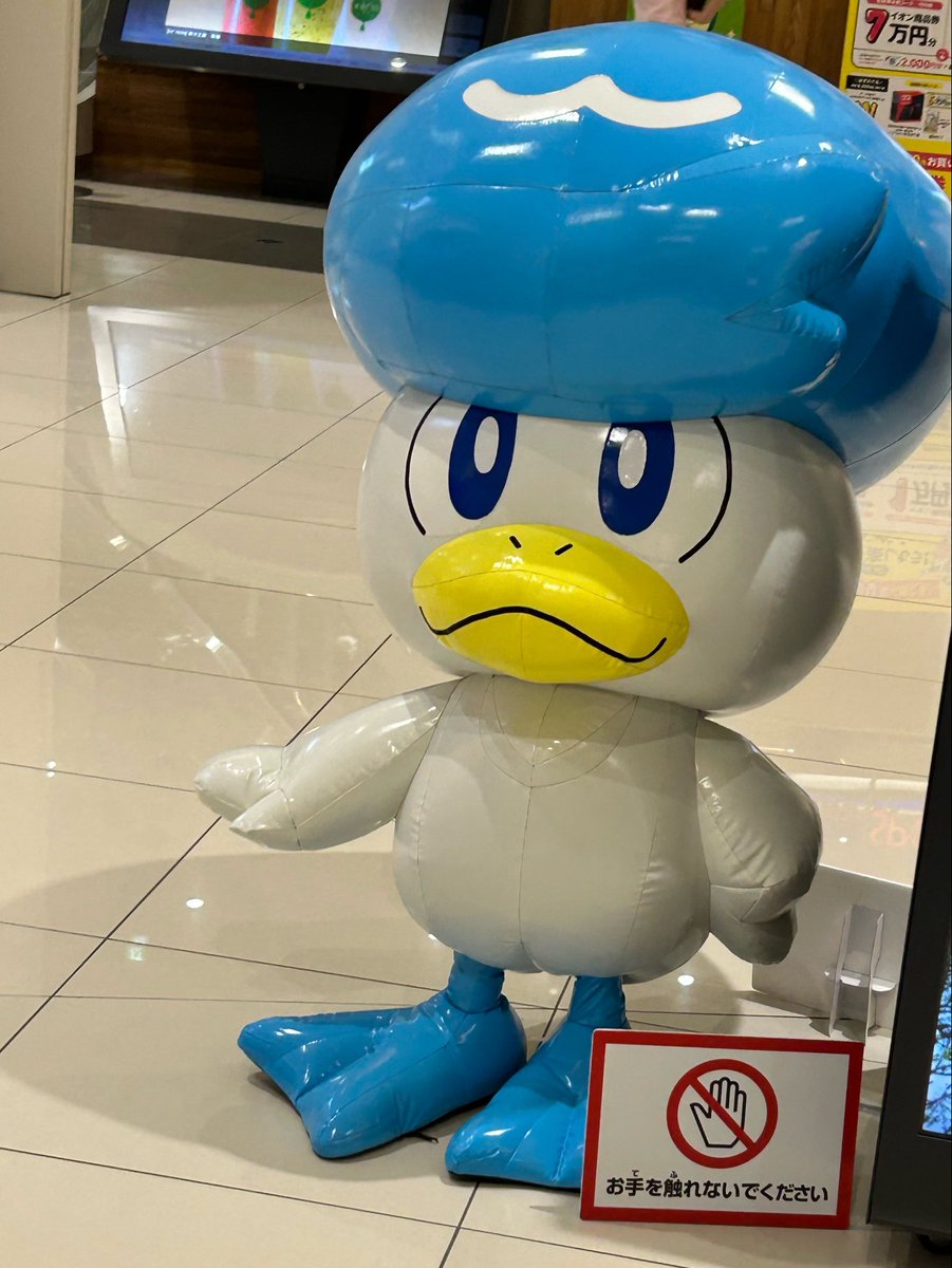 dntf8r's tweet photo. アクアさんいた https://t.co/Y0N2FDflBw