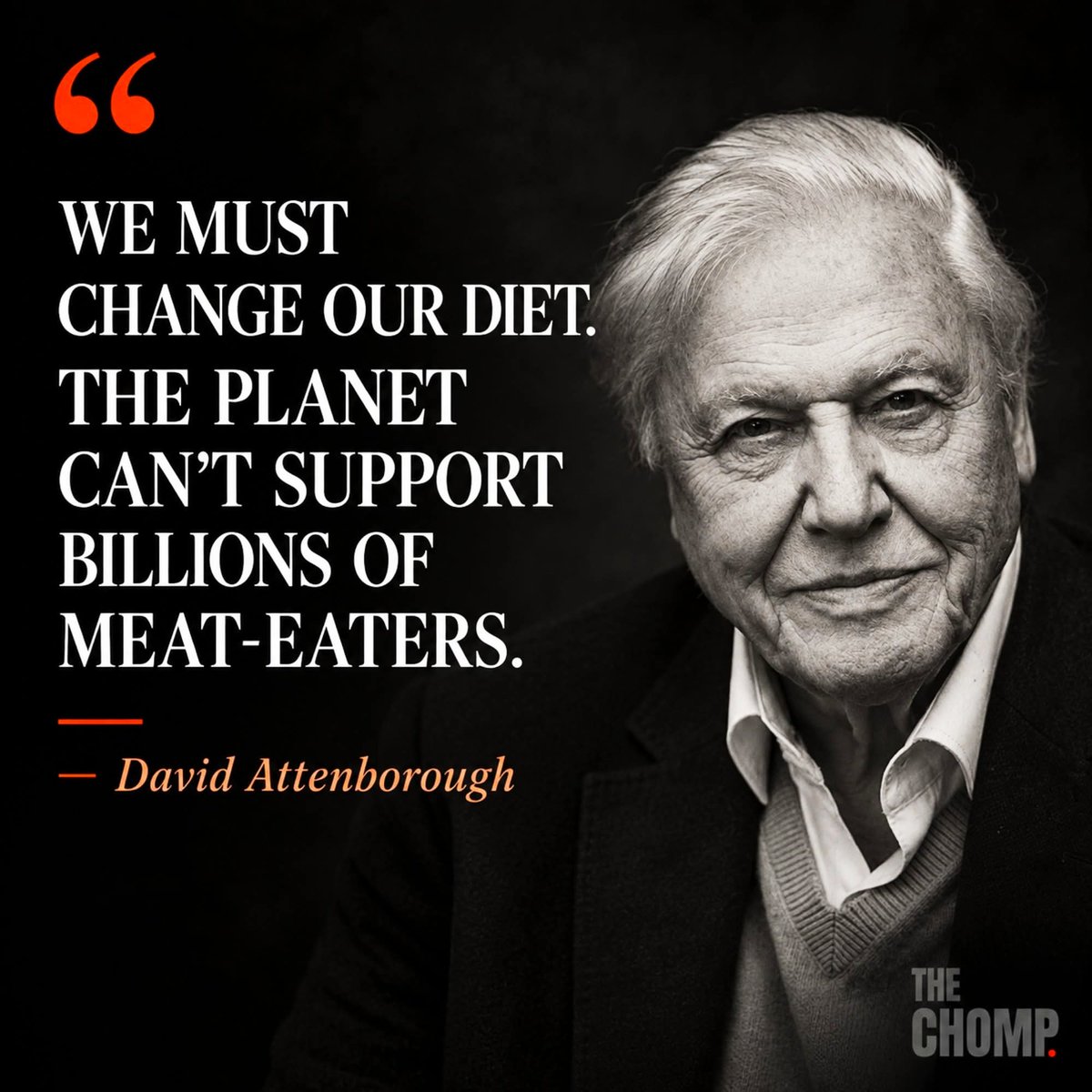 gianni_runco's tweet photo. DOBBIAMO CAMBIARE LA NOSTRA DIETA. IL PIANETA NON PUÒ SOSTENERE MILIARDI DI MANGIATORI DI CARNE. #davidattenboroug #govegan #animalrights #veganfood #veganism #crueltyfree #Vegan #nomeat #plantbased #animallovers #vegano #veganrevolution #veganworld #empatia #vegetables #nomilk https://t.co/S9XVZ7bKZ9