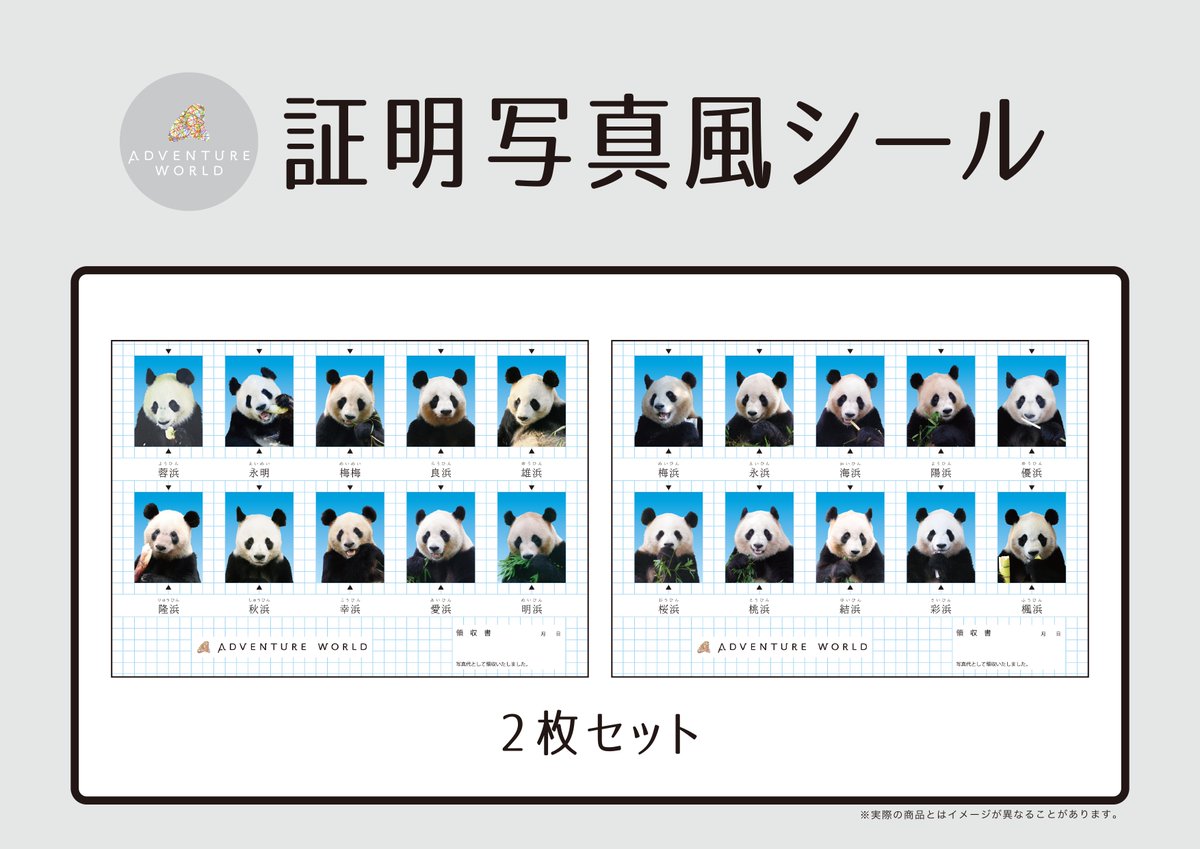 aws_onlineshop's tweet photo. ＼🐼🐧✨いよいよ新商品が本日(9/26)から発売！✨🐯🐾／

POP-UP STOREで先行販売していた新商品が、いよいよパーク内ギフトショップ「AW」＆公式オンラインショップに登場！

パンダの「証明写真風シール」や「コースターセット」をはじめ、ペンギンやレッサーパンダ、アムールトラなど、パークで暮らす動物たちのアイテムが勢ぞろい🐼🐧🐯✨

気になっていたアイテムを、ぜひこの機会にゲットしてください♪

🎁販売商品
・アイマスク（4種）
・証明写真風シール2枚セット
・コースター7枚セット
・スキンシール5枚セット

◆本日9月26日(土) 販売スタート！
📍パーク内 ギフトショップ「AW」
🕒 開園～

🛒アドベンチャーワールド公式オンラインショップ
🕒 12:00～
購入ページはこちら▷https://t.co/gPWM0f8shT 

※シンビオーシスでの販売はございません。
※���には限りがございます。
※各商品、お一人様��たりの個数制限がございます。
※売り切れ次第販売終了いたします。
※取扱商品は予告なく変更する場合がございます。
※新商品のトイカプセル（ダイカットミニタオル・アクリルミニブロック）のパーク内での販売は10月頃を予定しております。詳細は改めてお知らせいたします。
