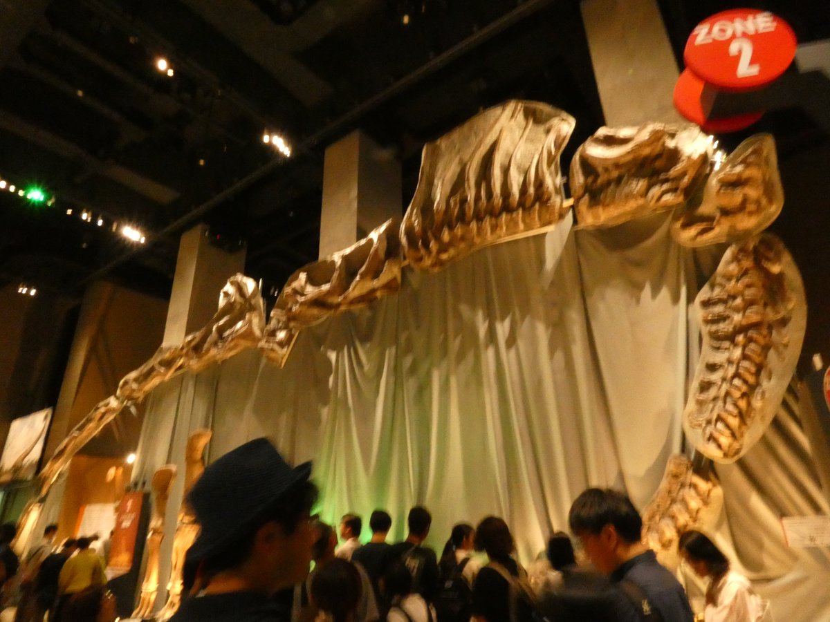 shinn_fasuru's tweet photo. #金曜日だから化石貼る
シルバーウィークの福井恐竜博物館 竜脚類展から🦕 https://t.co/xGpLriSUWk