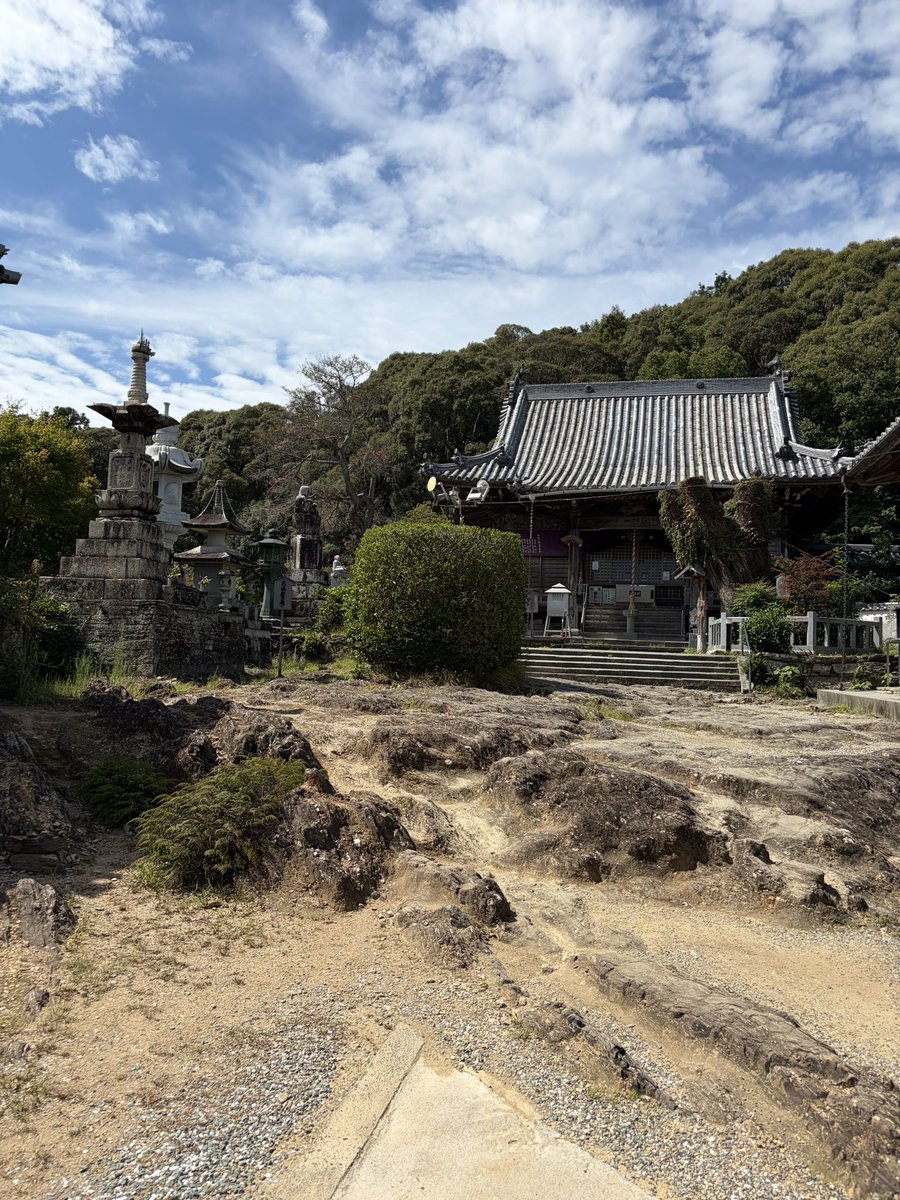 ringomikan315's tweet photo. 徳を積むため、徳の島へ。
久しぶりにお遍路旅。 https://t.co/tu7VVTMQ6p