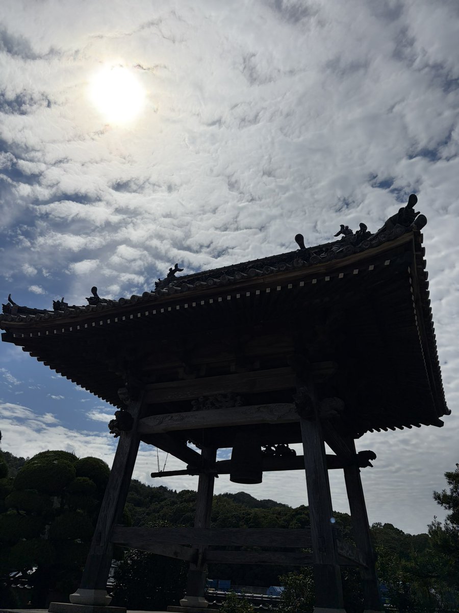 ringomikan315's tweet photo. 徳を積むため、徳の島へ。
久しぶりにお遍路旅。 https://t.co/tu7VVTMQ6p