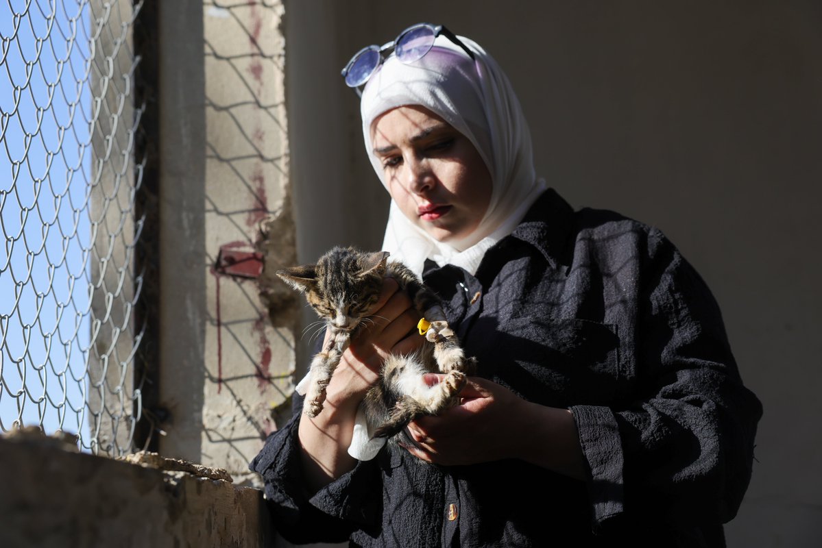 Hurriyet's tweet photo. 🐾 Suriye'nin orta kesimindeki Humus ilinde yaşayan 26 yaşındaki Aya Bakur, hükümetin tahsis ettiği bir binayı, 350 civarında sokak hayvanının bakım ve tedavisinin yapıldığı bir barınağa dönüştürdü. https://t.co/3WMY0cbEh8