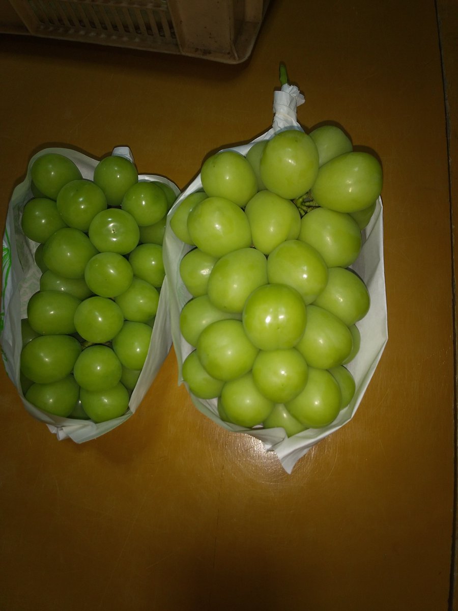 KCbU2bpD1G6W7gy's tweet photo. 🍇たぬき農園直売所通信🍇
明日9/26の
フライングお得情報🍇😱
🍇その１🍇 
訳あり５キロ箱
🍇その２🍇
気まぐれ詰め放題
🍇その３🍇
超贈答品５キロ箱
🍇各数量限定ビックリ価格にて販売します<(_ _)>
左から、贈答品比較、超贈答品、訳あり品 https://t.co/LlgDLclJE0
