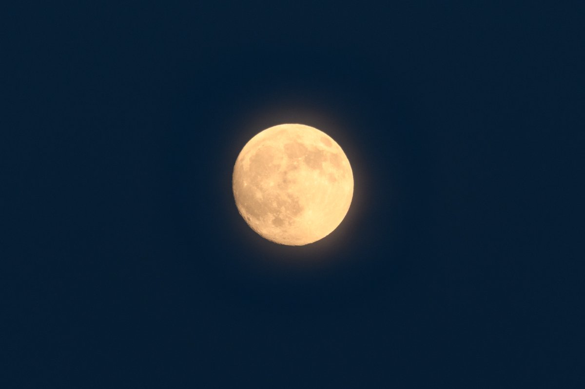 prcnaoj's tweet photo. ＼今夜は #中秋の名月 🌕／
#国立天文台 三鷹キャンパスでは雲の間から #お月見 ができました。雲があっても諦めずに、ぜひ月を探してみてください。写真はさきほど撮影した月です。 https://t.co/d87TKZ2euQ