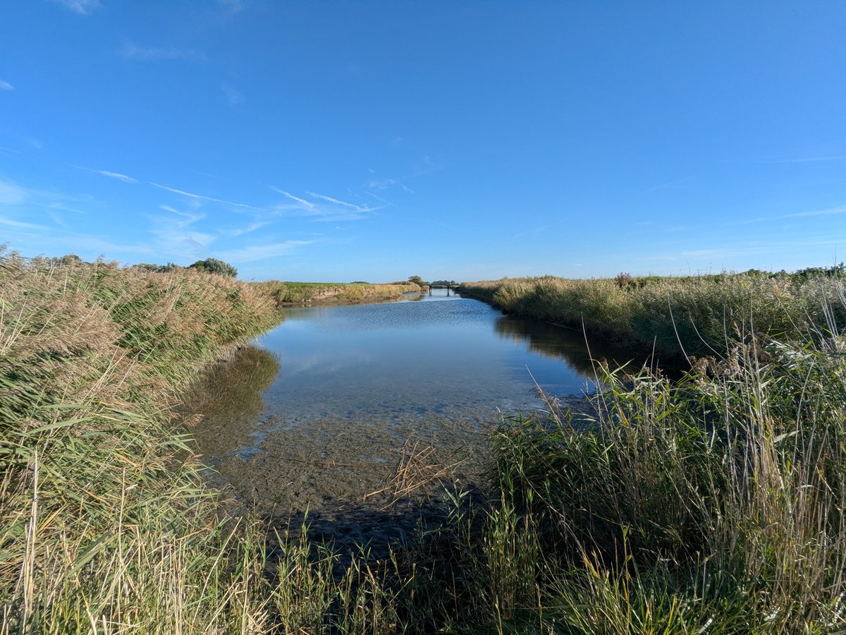 Nordwestroute's tweet photo. Moin aus Butjadingen.. #Fedderwardersiel #butjadingen #nordsee #wesermarsch #Burhave #tossens #eckwarderhörne #Ruhwarden https://t.co/1n41pBJqIt