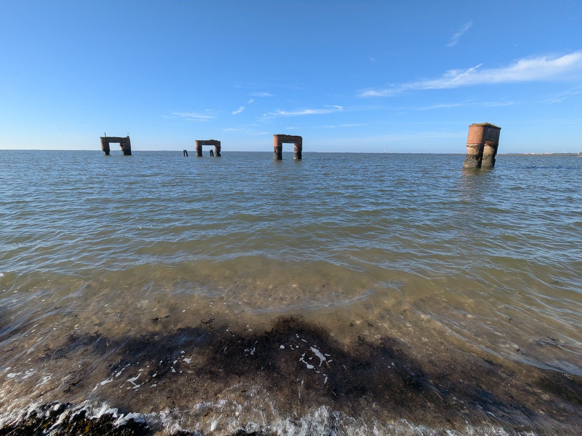 Nordwestroute's tweet photo. Moin aus Butjadingen.. #Fedderwardersiel #butjadingen #nordsee #wesermarsch #Burhave #tossens #eckwarderhörne #Ruhwarden https://t.co/1n41pBJqIt