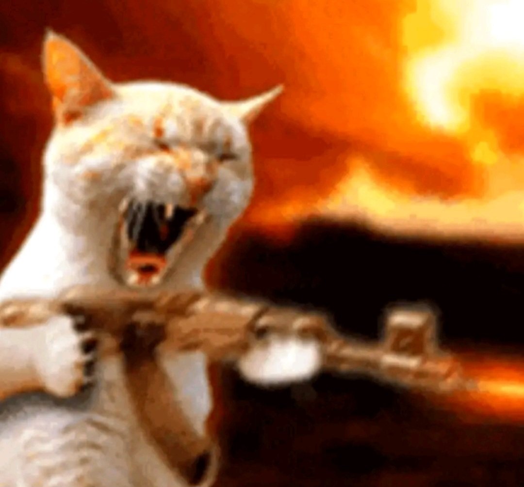 Showcat_'s tweet photo. @celestit444xd Toca volver a acosar a netflix https://t.co/t3uAYtym1E