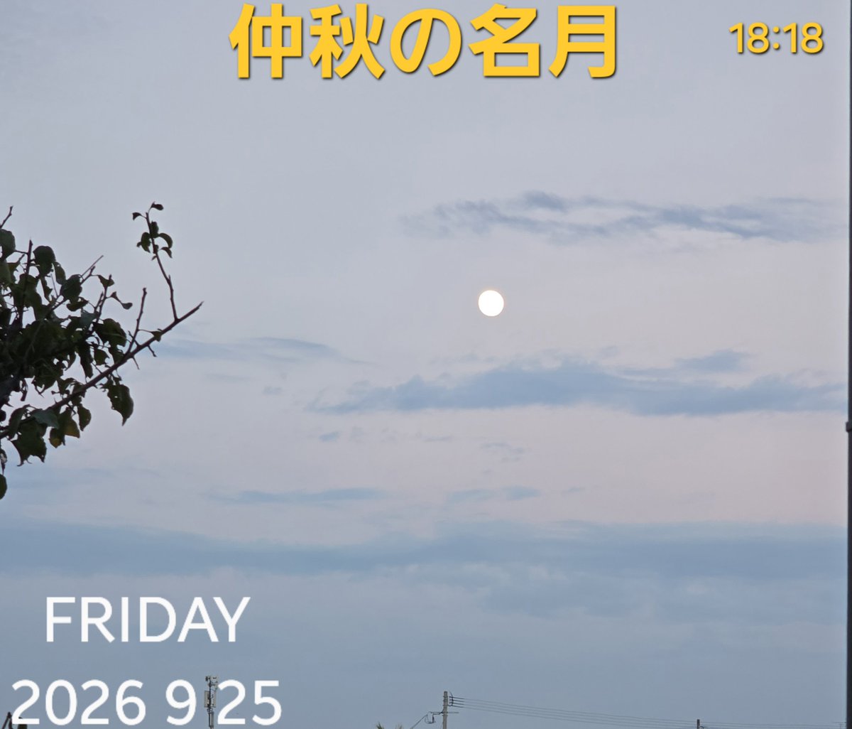 melonpan602's tweet photo. 仲秋の名月 https://t.co/QdQCe4PMV7