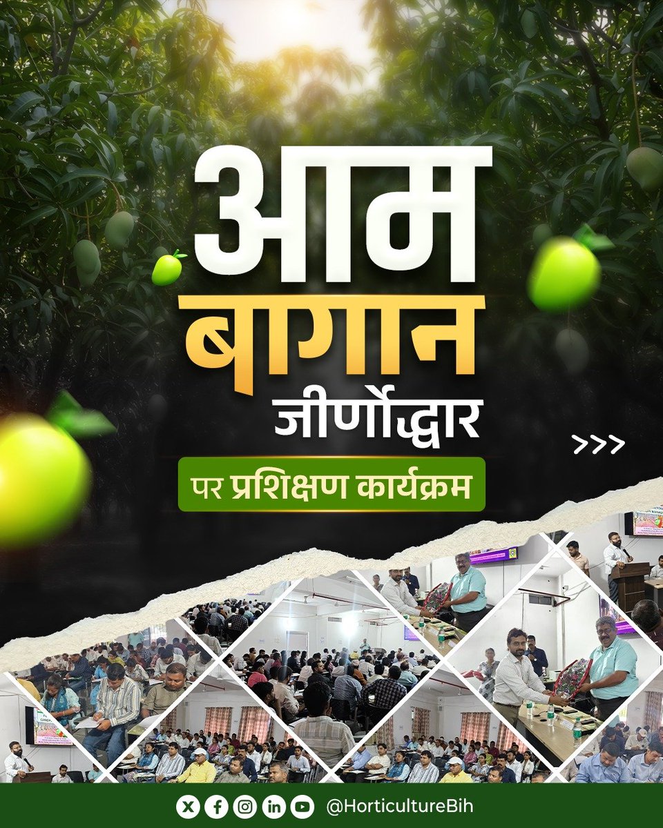 HorticultureBih's tweet photo. CoE , देसरी में पुराने आम बागानों के जीर्णोद्धार पर प्रशिक्षण कार्यक्रम आयोजित किया गया। इसमें विभिन्न जिलों के जिला उद्यान पदाधिकारियों एवं प्रखंड उद्यान पदाधिकारियों ने भाग लेकर बागानों के पुनर्जीवन और वैज्ञानिक प्रबंधन की जानकारी प्राप्त की।
#horticulture https://t.co/oTRn2RnuOg