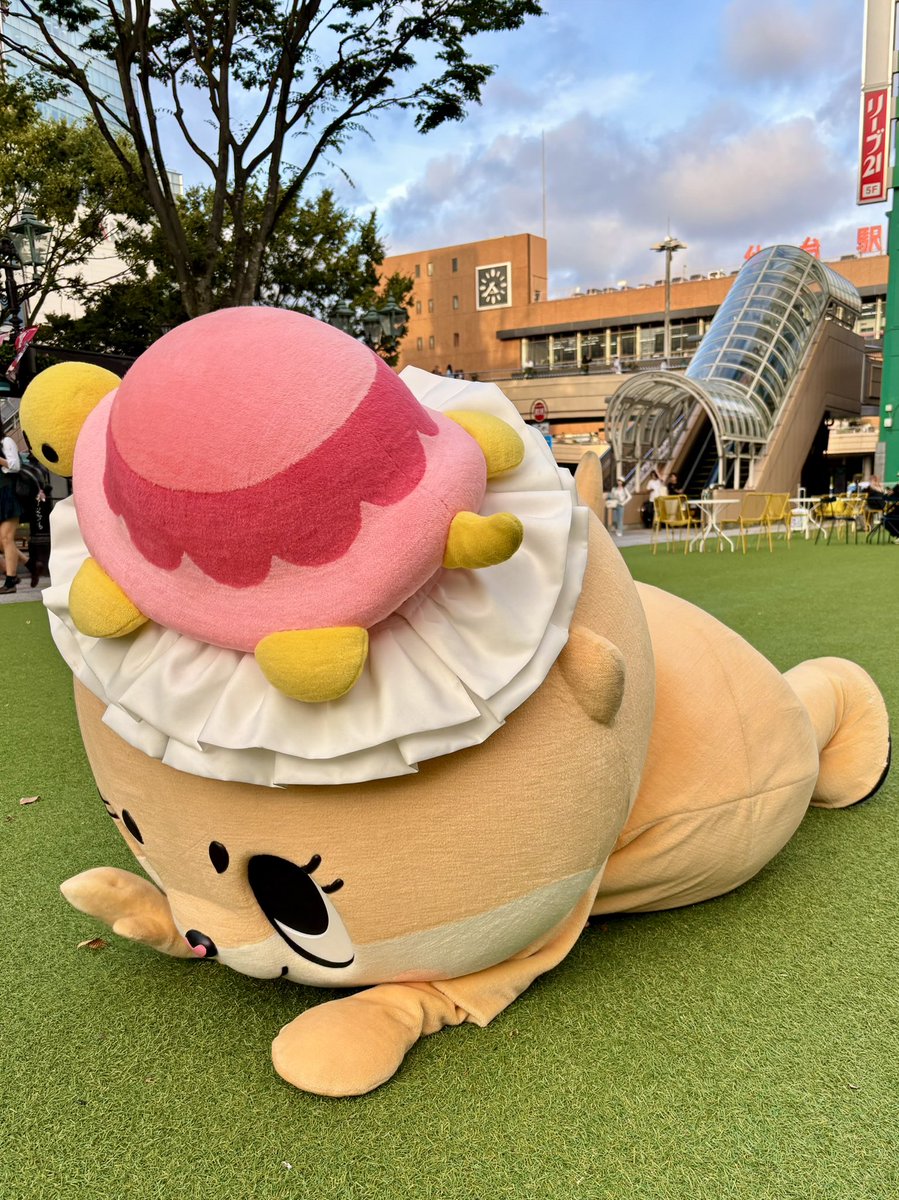 Chiitan_Sendai's tweet photo. 仙台も連日の秋晴れです🍁🍂

久しぶりの芝広場を全身で堪能するちぃたん☆

最近は雨の日が多かった分、今日はお外でたくさんゴロゴロしてました🐾✨️ https://t.co/ZqGkL8UoR3