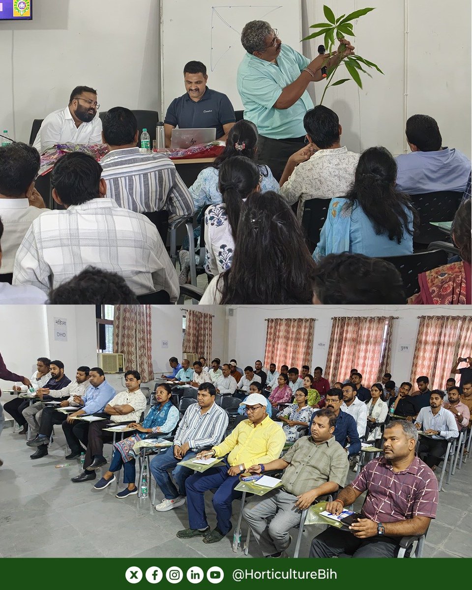 HorticultureBih's tweet photo. CoE , देसरी में पुराने आम बागानों के जीर्णोद्धार पर प्रशिक्षण कार्यक्रम आयोजित किया गया। इसमें विभिन्न जिलों के जिला उद्यान पदाधिकारियों एवं प्रखंड उद्यान पदाधिकारियों ने भाग लेकर बागानों के पुनर्जीवन और वैज्ञानिक प्रबंधन की जानकारी प्राप्त की।
#horticulture https://t.co/oTRn2RnuOg