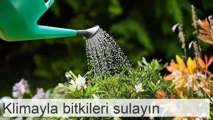 yusufcekic45's tweet photo. #manisa #lüleburgaz #pehlivanköy #pınarhisar #karamürsel #gölcük #kırşehir #kırşehirmerkez #akçakent #akpınar #boztepe #çiçekdağı #kaman #mucur #kilis #kilismerkez #elbeyli #musabeyli #polateli #kocaeli #başiskele #çayırova #vize #kartepe #kandıra #darıca #derince #dilovası https://t.co/LuobrP1tMX
