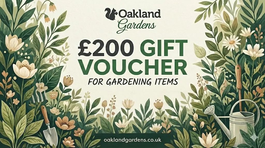 allotmentonline's tweet photo. NEW COMPETITION!

Enter for the chance to WIN £200 to spend with @oaklandgardens9 !

Please follow, RT, tag/share and enter on the link in the comments!

#win #competition #giveaway https://t.co/PVk6yZ8wED
